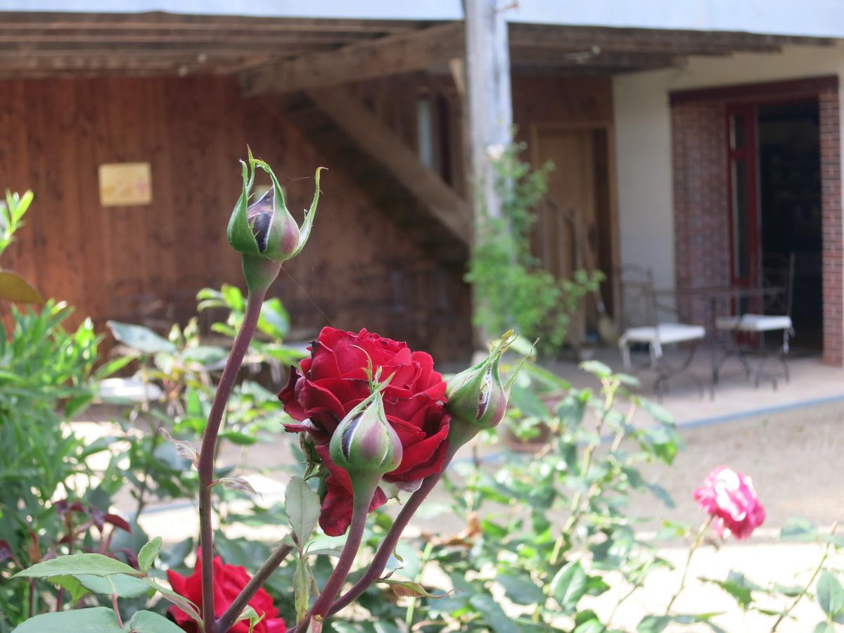 Saint-Léonard-de-Noblat Les Jardins De Lily酒店 外观 照片
